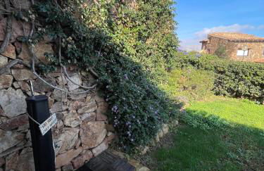 Blue Dawn - Photo 48