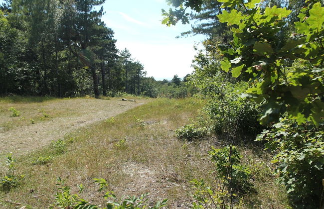 Family Apartment on Large Estate in Bergen aan Zee near Dunes & Beach - Photo 36