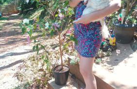 Chalé Refúgio dos Aventureiros Mata Atlântica - Foto 8