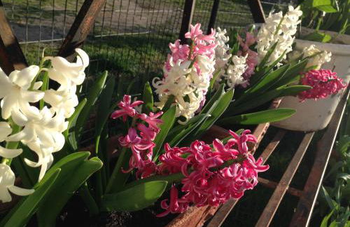 Paglia&Fieno - Foto 71