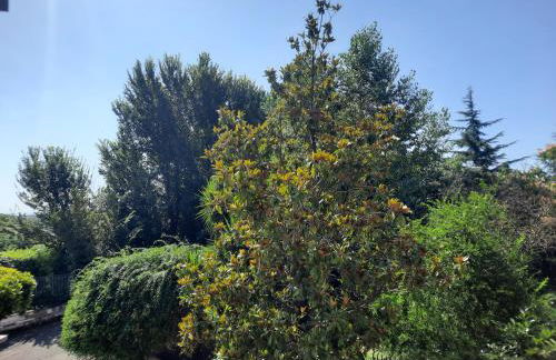 La casa di Livia - Foto 39