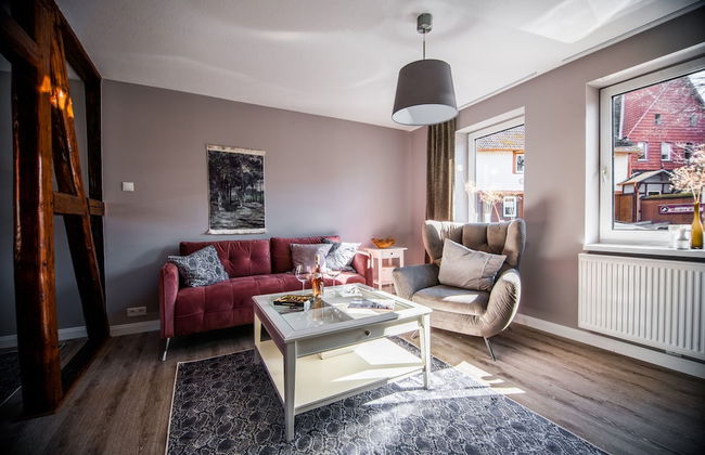 Apartment in Harz With Terrace and Fireplace - Photo 9