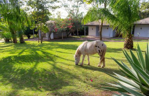Hotel Fazenda Cachoeiras Serra da Bodoquena - Foto 31