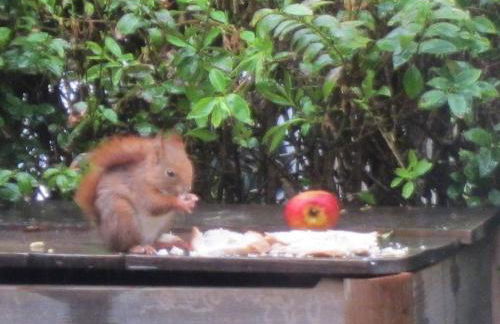 L'Esprit du Bois - Foto 13