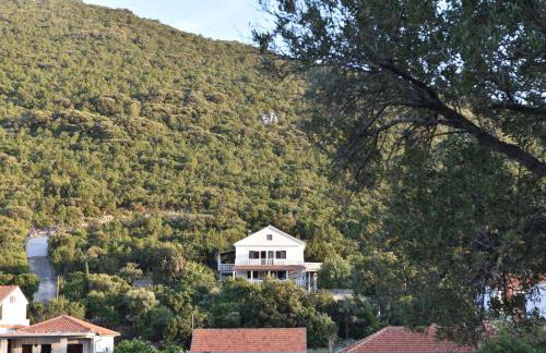 Apartmani Marko - Foto 8