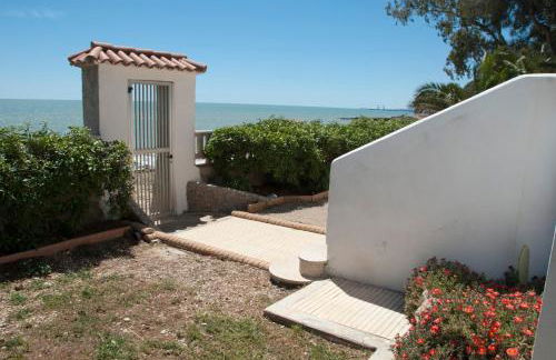 Sargantana Blava - Foto 8