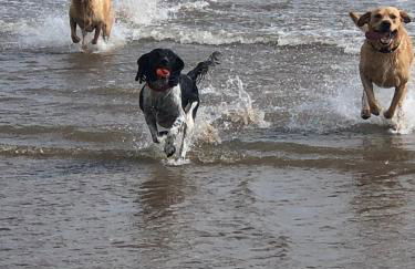 Woodend Cottage - Foto 39