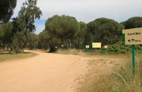 Guayantovel Doñana - Foto 13