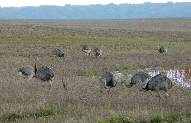 aan de Pastorie - Foto 17