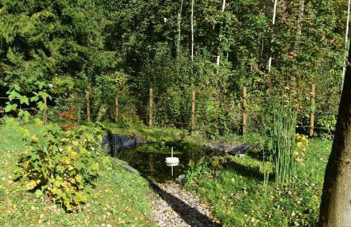 Ogród Shinrin Yoku (Haru) Odpoczynek w Lesie - Foto 14