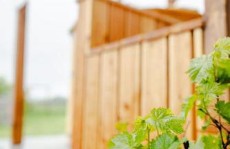 Domki na Górniej Łące - Dwa Wróble - Foto 34