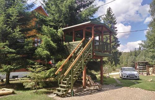 Birkut Szkoła Przetrwania 1 - Foto 13