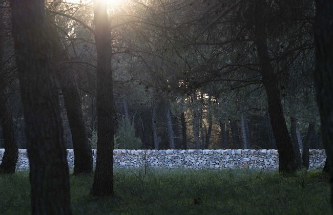 DONNAPAOLA MODERN FARM - Foto 52