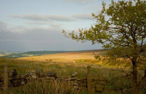 Daisy Bank Camp - Photo 9