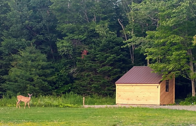 Schlafmans Hollow Solar Cabins - Photo 25