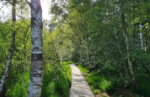 Ferienhof Hierl - Photo 8