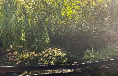 Maple Leaf Cottage - Foto 18