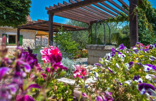 Rural house Mudrinic "Ivini dvori" - Foto 24