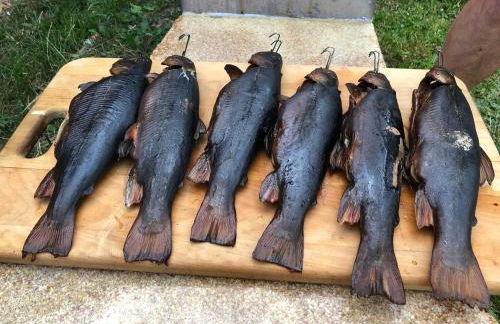 Ferienhaus am Mümmelbrook - Foto 11