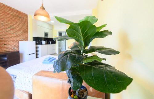 Studio with balcony Everything you need Temporary AMA144 - Photo 35