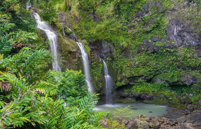 Kanai A Nalu 211 in Wailuku - Foto 43