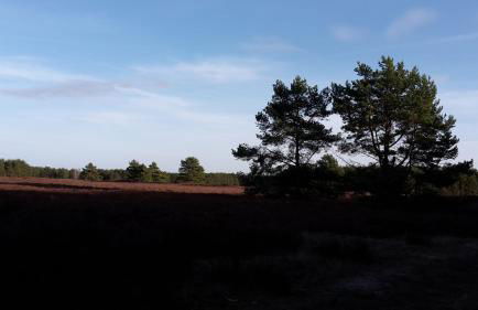 Ferienhäuser Pannier I und oder II - Foto 32