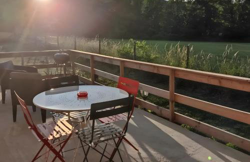 Au chant des oiseaux - rouge gorge - Foto 3