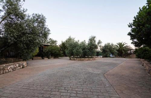 Casa Rural Entreolivos - Foto 25