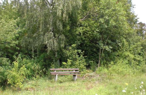 Dog-friendly Holiday Home in the Knull - Foto 51