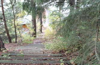 ZumSeehörnchen Haus Schmetterling - Foto 32