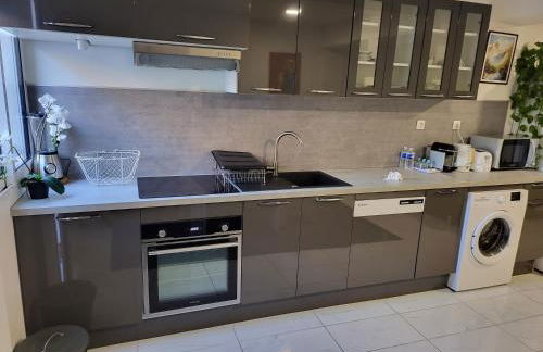 Lou Palmieri - Foto 13