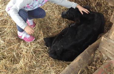 Podere Del Gesso - Foto 16