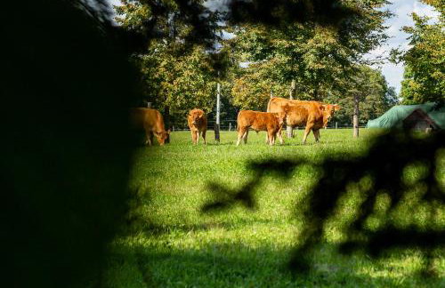 Dylewianka - Foto 54