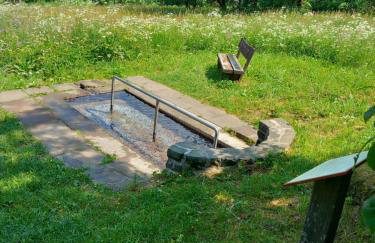 Vogelsberger Zirbenstüberl - Foto 12