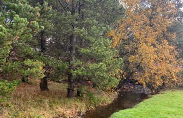 Corrie Lodge, Glendevon - Foto 30