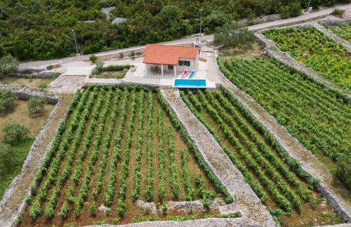 Vineyard House & Olive Grove House - Photo 10