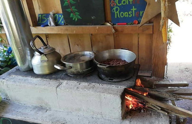 Coffee Tour of San Marcos de Tarrazu - Photo 5