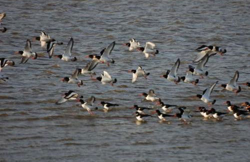 LUV and LEE Comfortable holiday residence - Foto 21