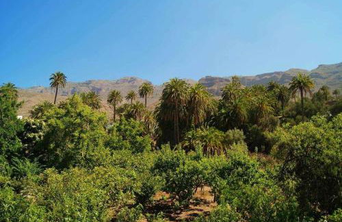 Casa Rural La Fuente de la Flora - Foto 31