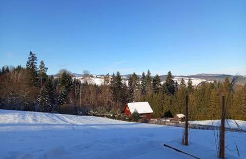 Domek pod lasem - Foto 8