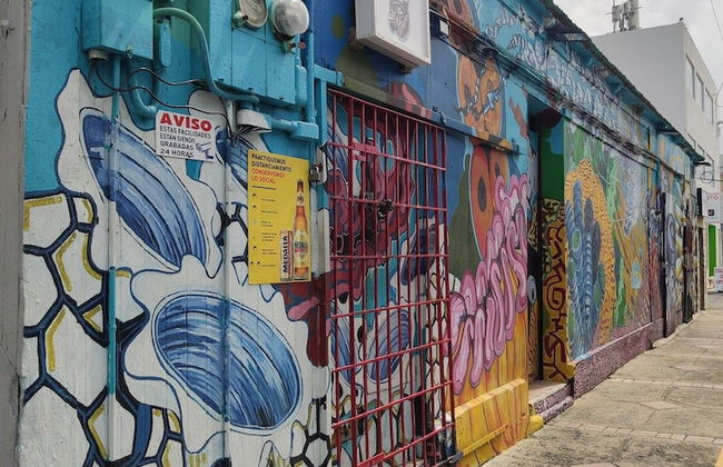 Beachfront Studios - Photo 26