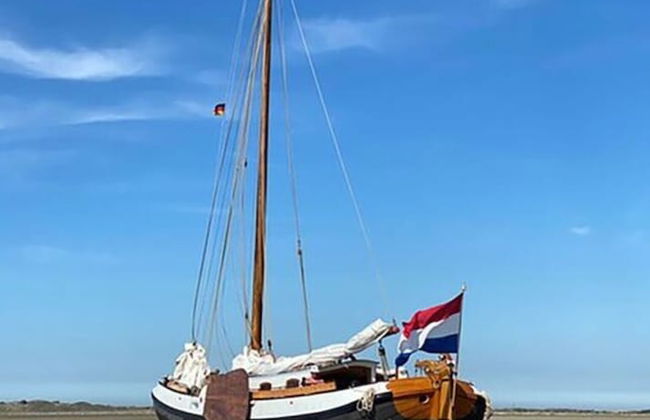 Shell Modern Retreat - Foto 6