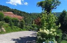 Casa do Loureiro - Foto 18