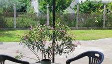 le temps d'aime - Photo 3, Garden