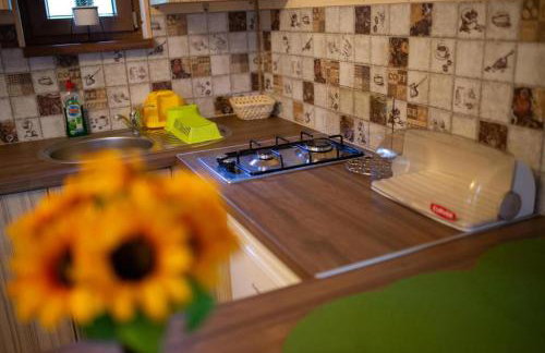 Domki nad Strumykiem-Solina - Foto 34