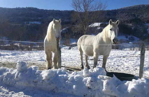La appartement des rosiers - Photo 20