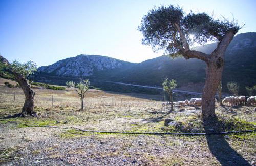 Agriturismo Sa Rocca - Foto 61