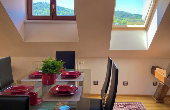 Apartmány Bašta & Wellness - Foto 8