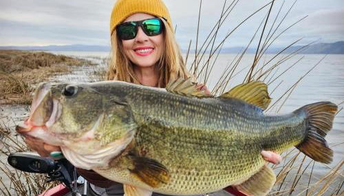 La Bella Ancour - Foto 4