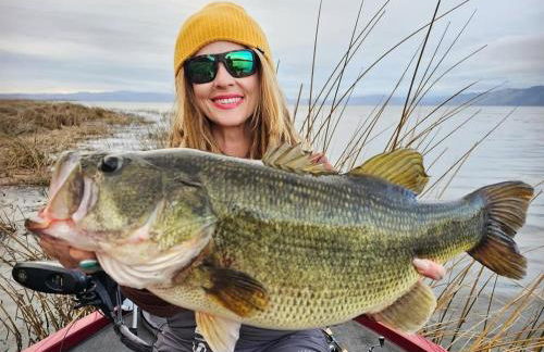 La Bella Ancour - Foto 4